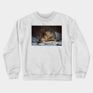 Gray Wolf Crewneck Sweatshirt